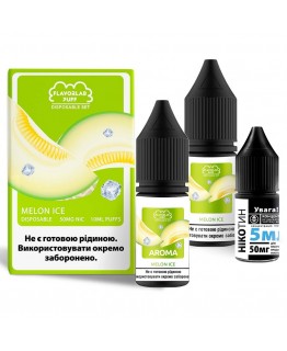 Набор Flavorlab Disposable Puff Melon Ice, 10 мл