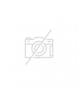 Набір Flavorlab P1 10 мл 65 мг М'ята ментол