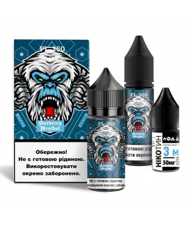 Набір Flavorlab FL350 Blueberry Menthol, 30 мл