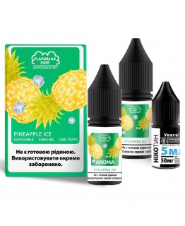 Набір Flavorlab Disposable Puff Pineapple Ice, 10 мл